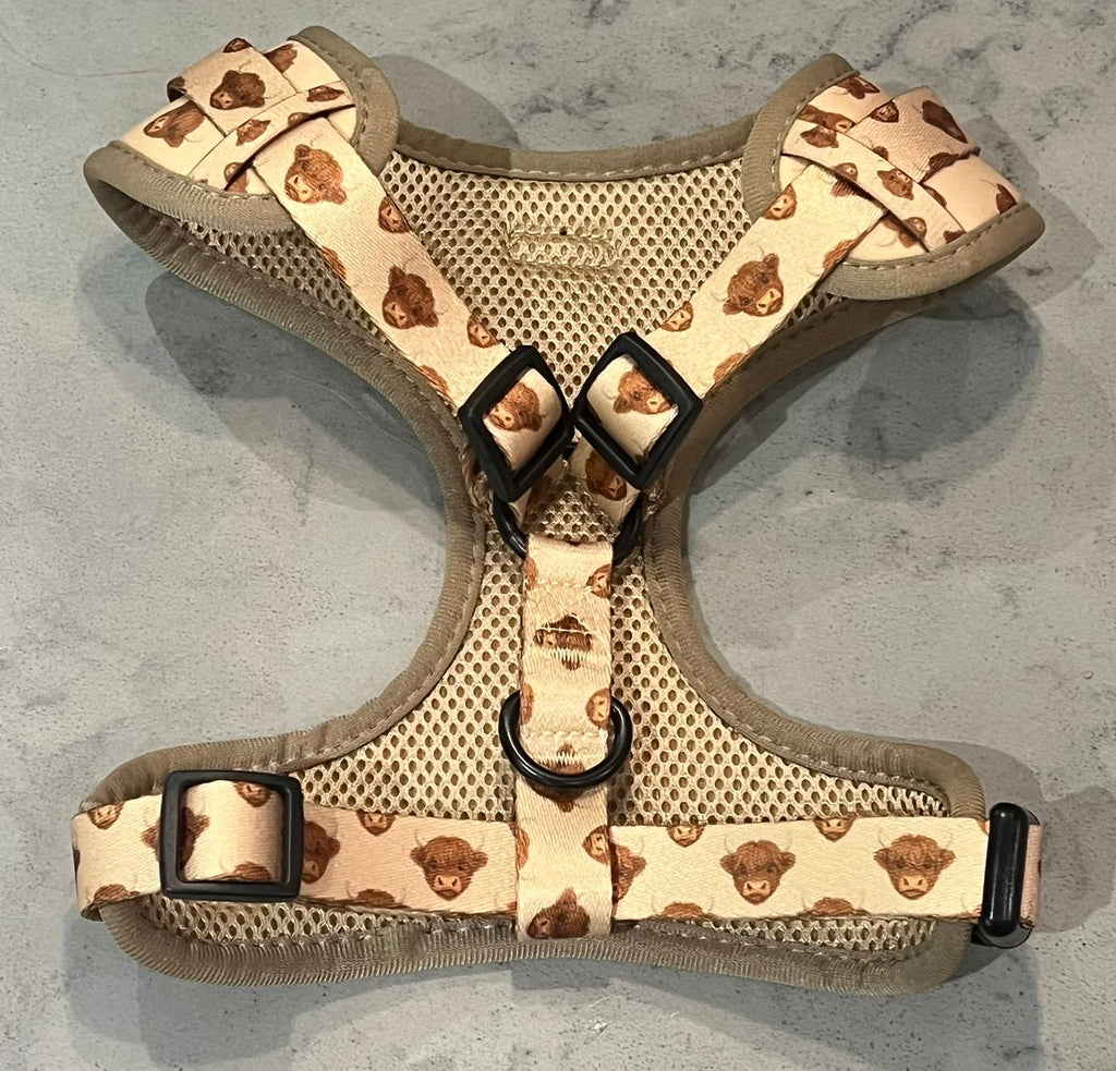Highland Hound Harness